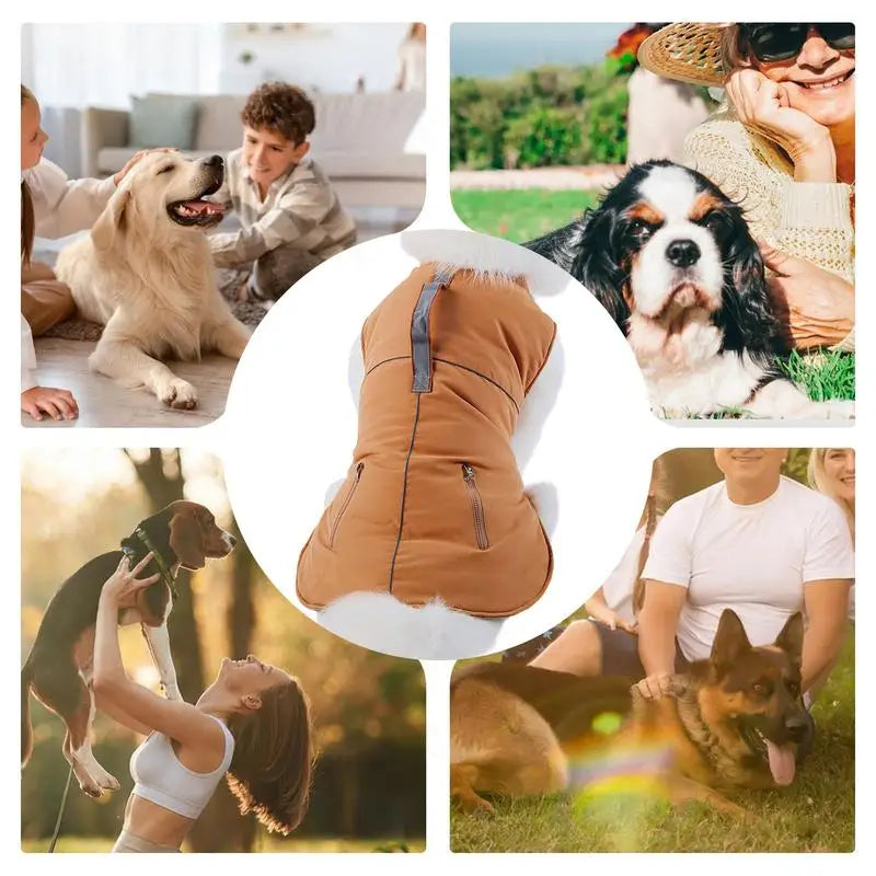 Casaco elegante de gola alta de 4 patas para cães pequenos