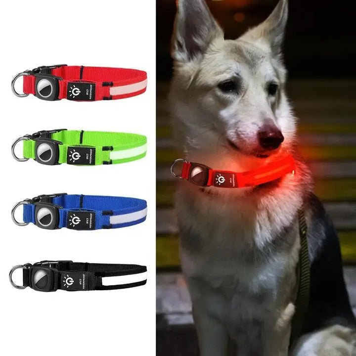 Coleira luminosa AirTag para cães: visível, localizável e reconfortante, dia e noite