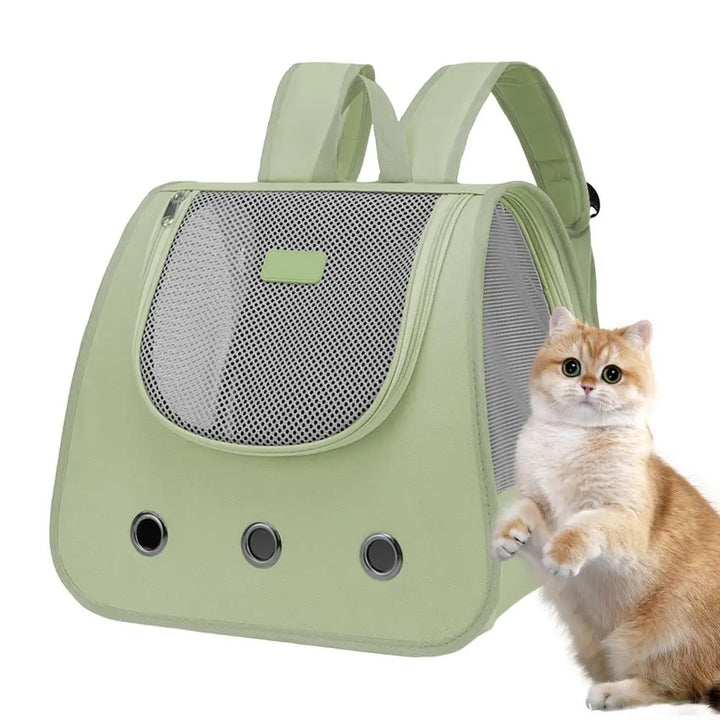 Bolsa para cães e gatos: liberdade e ternura nos passeios