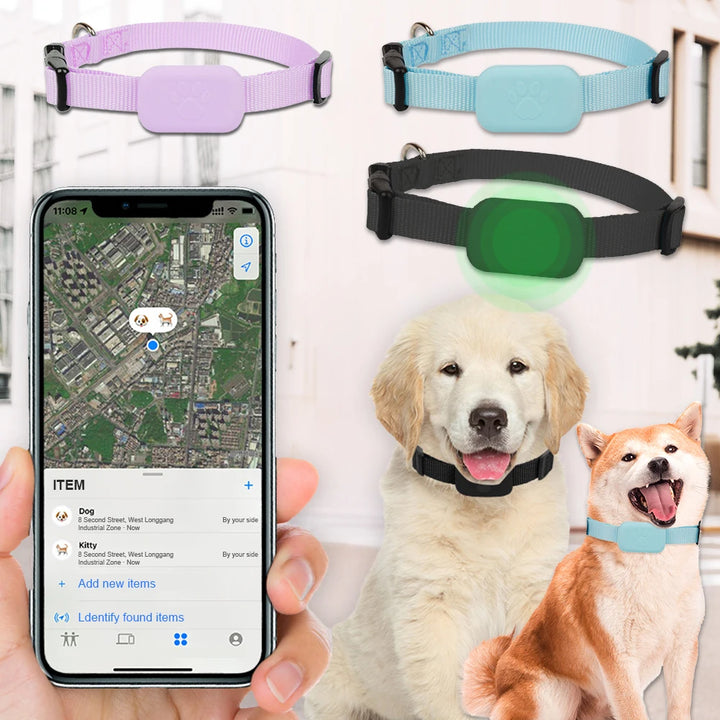 Coleira GPS para cães e gatos: visível, localizável e sempre encontrável