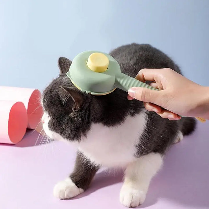 Escova para tosa de cães e gatos: maciez, cumplicidade, menos pelos