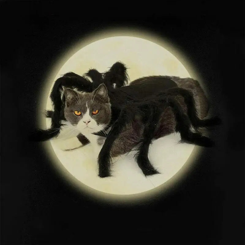 Fantasia de aranha de Halloween – para gato, filhote ou cachorro pequeno