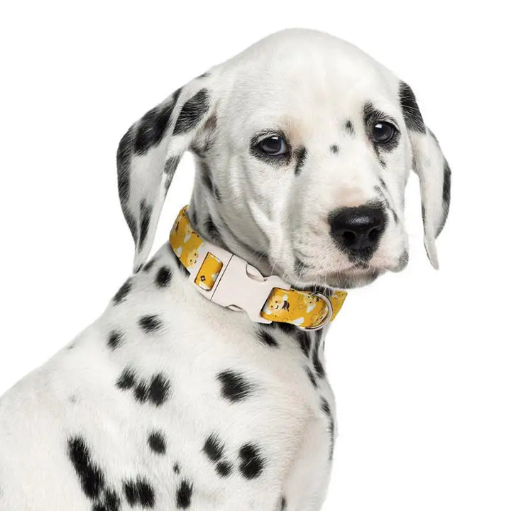 Coleira de algodão amarela para cachorro – Divertida, confortável e macia no pescoço