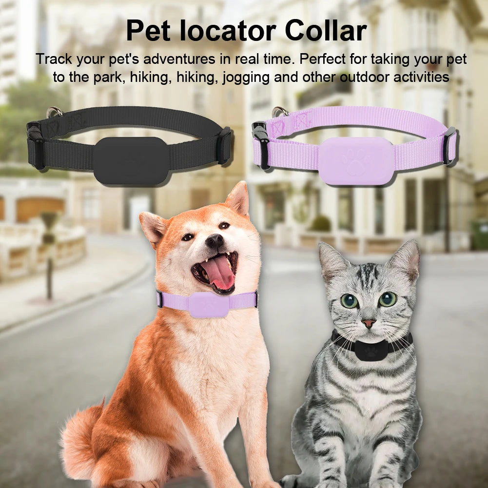 Coleira GPS para cães e gatos: visível, localizável e sempre encontrável