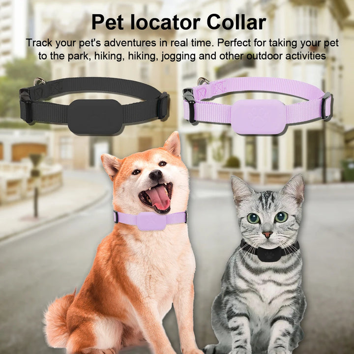 Coleira GPS para cães e gatos: visível, localizável e sempre encontrável